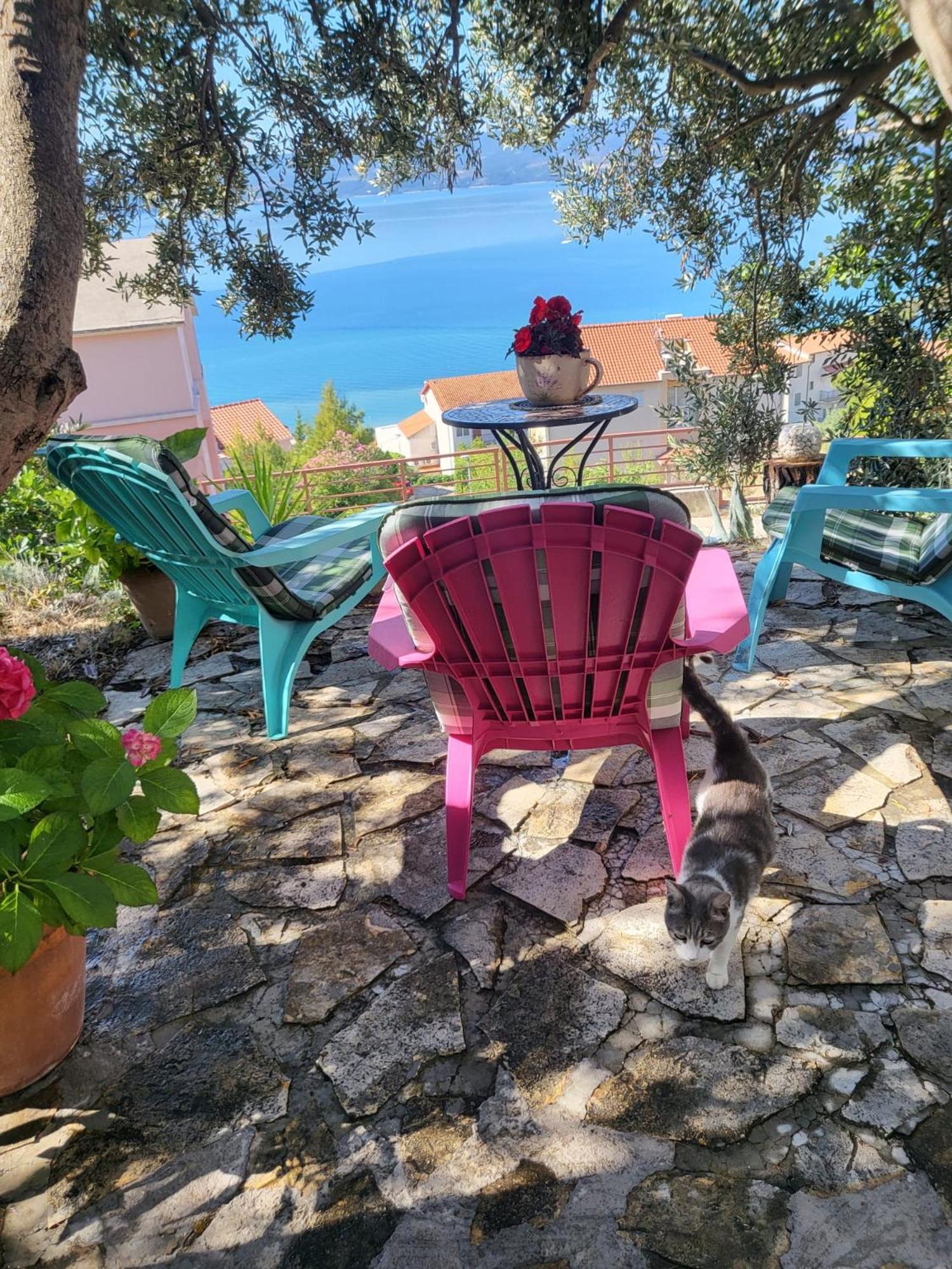 Apartment Becica Omiš Exteriér fotografie